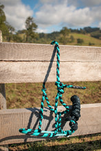 Load image into Gallery viewer, Cowboy 2.0 Muletape Halters