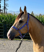 Load image into Gallery viewer, Aztec Bubblegum Nylon Halter
