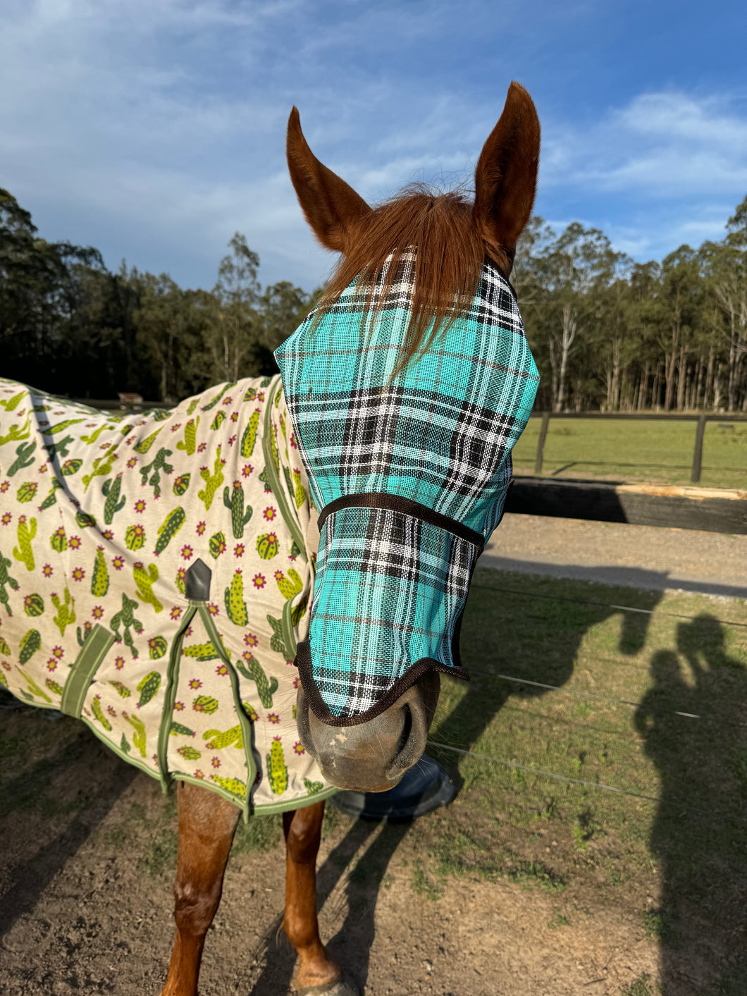 PV Mesh fly mask with nose flap