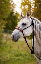 Load image into Gallery viewer, Braided Bronc Halter - Aztec
