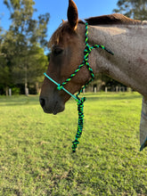 Load image into Gallery viewer, Cowboy Halter with Lariat Noseband - Lime Green, Aqua &amp; Black
