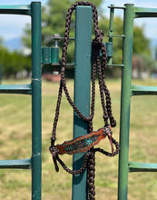 Load image into Gallery viewer, Braided Bronc Halter - Maverick
