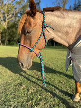 Load image into Gallery viewer, Cowboy Halter with Lariat Noseband - Purple, Aqua &amp; Brown
