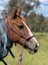 Load image into Gallery viewer, Rope Handmade Halters Cob
