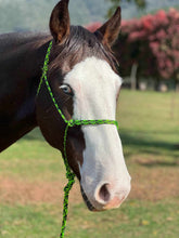 Load image into Gallery viewer, Rope Handmade Halters Cob
