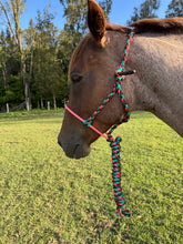 Load image into Gallery viewer, Cowboy Halter with Lariat Noseband - Pink, Aqua &amp; Brown
