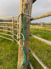 Load image into Gallery viewer, Cowboy Halters with Lariat Noseband - Aqua &amp; Brown
