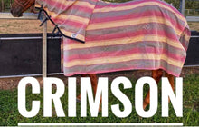 Load image into Gallery viewer, Fly mask with nose flap
