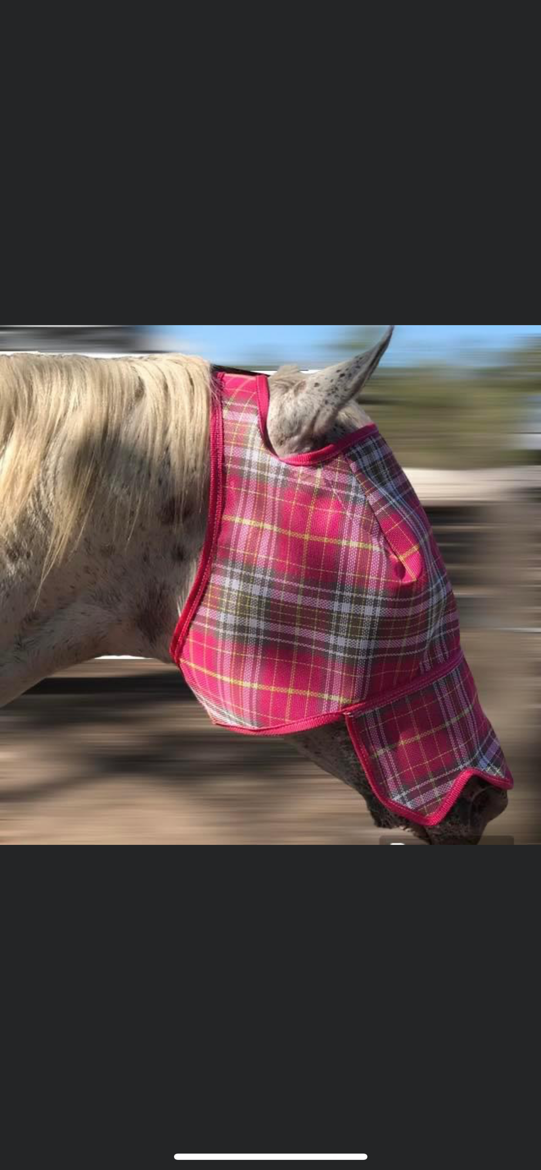 Fly mask with nose flap