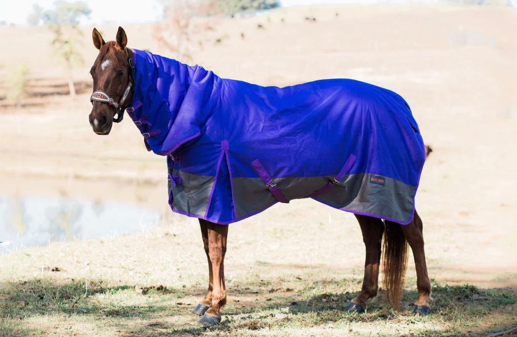 Purple & Grey Rainsheet