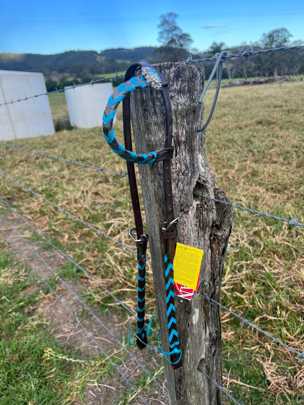 Blue Twist bridle