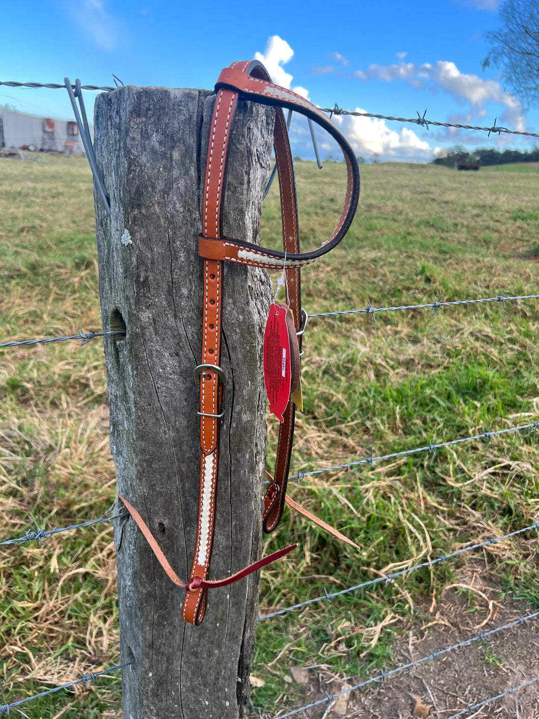 Roped one ear bridle